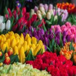 aromatherapy scented flower how to create
