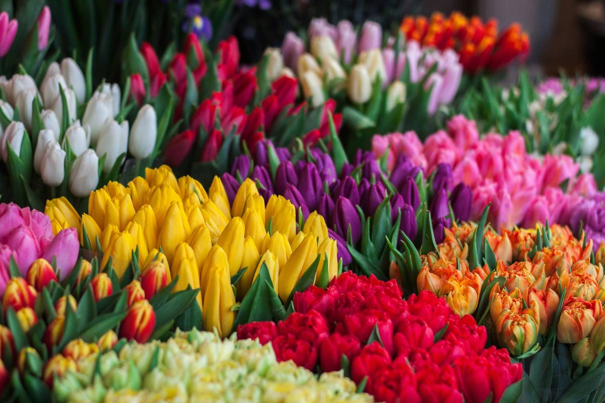 aromatherapy scented flower how to create