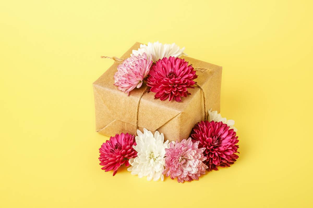 Gift Scented Flower That Begin Letter: The Thoughtful, Fragrant Way to Say “I Care”