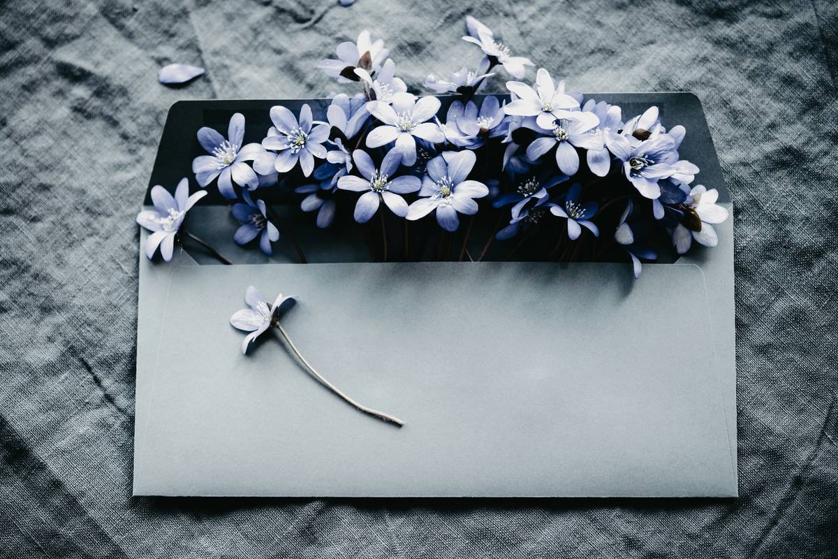 Gift Scented Flower That Start Letter: The Thoughtful, Fragrant Way to Say “I Care”