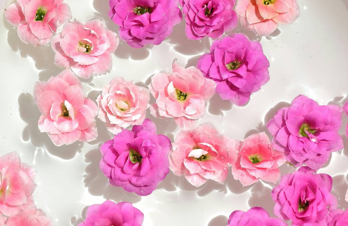 Aromatherapy Scented Flower Technique to Achieve Radiant Skin and Calm Mind